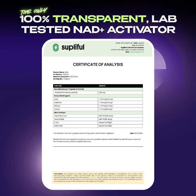 NMN Supplement with NAD+ Resveratrol and French Maritime Pine Bark Extract - NMNH Alternative | NAD Liposomal Supplements for Men and Women - Supports Cellular Energy