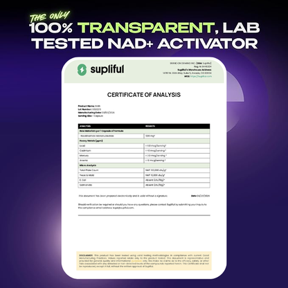 NMN Supplement with NAD+ Resveratrol and French Maritime Pine Bark Extract - NMNH Alternative | NAD Liposomal Supplements for Men and Women - Supports Cellular Energy
