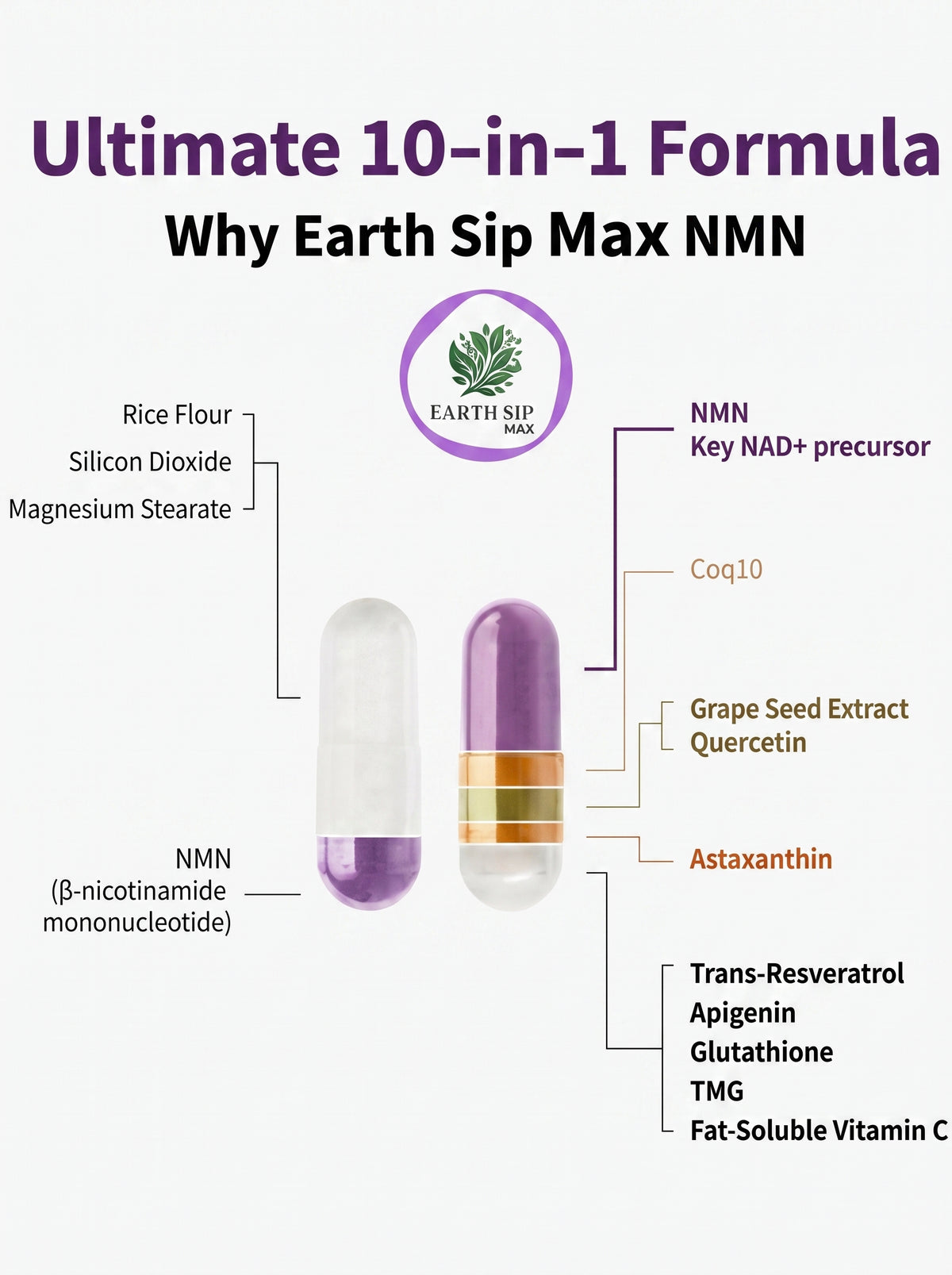 NMN Supplement with NAD+ Resveratrol and French Maritime Pine Bark Extract - NMNH Alternative | NAD Liposomal Supplements for Men and Women - Supports Cellular Energy