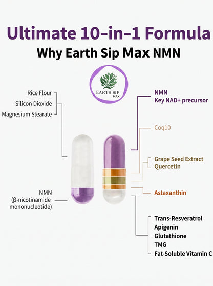 NMN Supplement with NAD+ Resveratrol and French Maritime Pine Bark Extract - NMNH Alternative | NAD Liposomal Supplements for Men and Women - Supports Cellular Energy